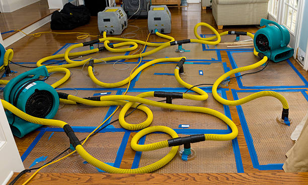 Professional Sewage Cleanup technician working in Anna, IL